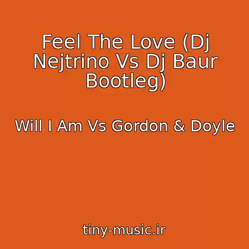 کاور آهنگ Feel The Love (Dj Nejtrino Vs Dj Baur Bootleg) از Will I Am Vs Gordon & Doyle