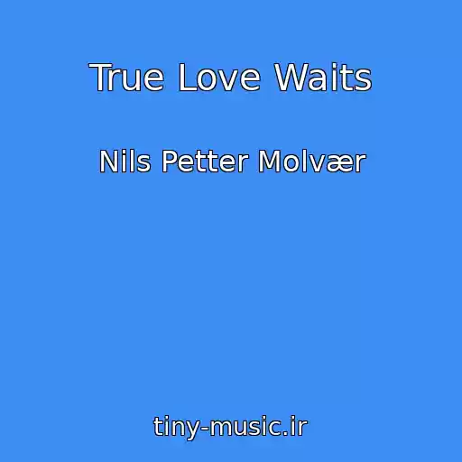 کاور آهنگ True Love Waits از Nils Petter Molvær