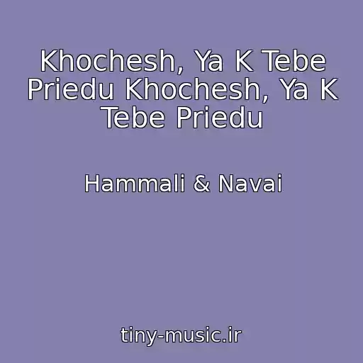 کاور آهنگ Khochesh, Ya K Tebe Priedu Khochesh, Ya K Tebe Priedu از Hammali & Navai