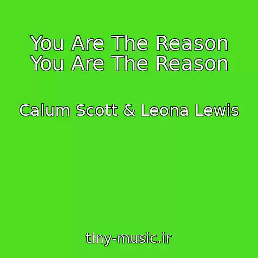 کاور آهنگ You Are The Reason You Are The Reason از Calum Scott & Leona Lewis