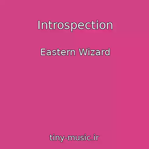 کاور آهنگ Introspection از Eastern Wizard