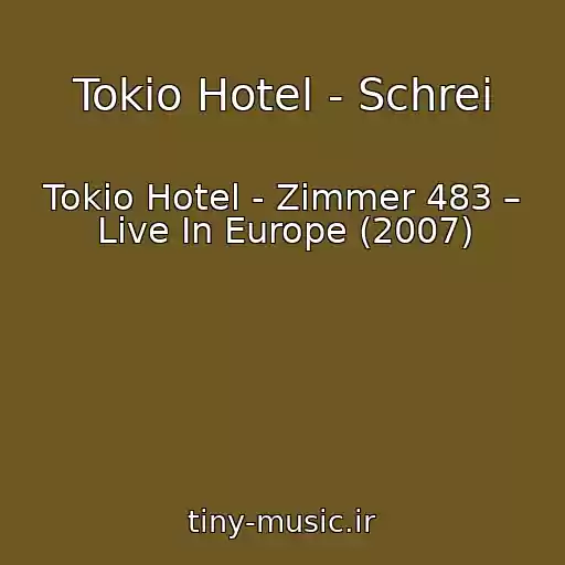 کاور آهنگ Tokio Hotel - Schrei از Tokio Hotel - Zimmer 483 – Live In Europe (2007)