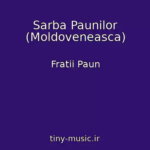 کاور آهنگ Sarba Paunilor (Moldoveneasca) از Fratii Paun