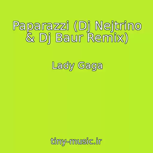کاور آهنگ Paparazzi (Dj Nejtrino & Dj Baur Remix) از Lady Gaga