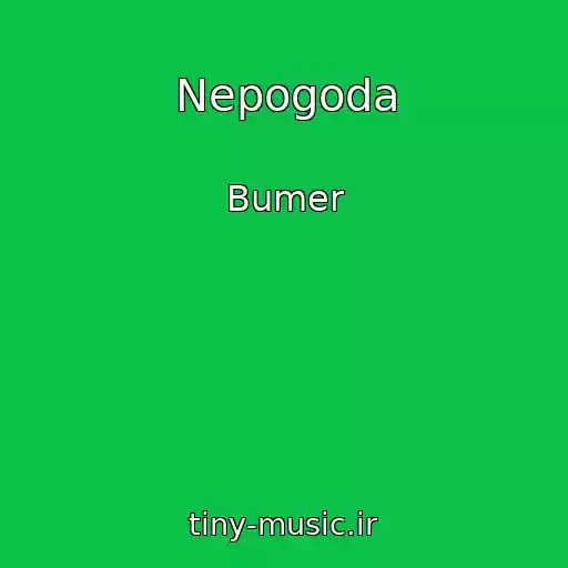 کاور آهنگ Nepogoda از Bumer