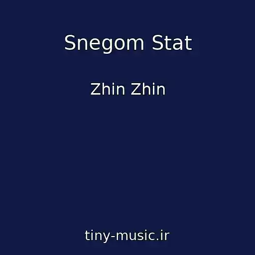 کاور آهنگ Snegom Stat از Zhin Zhin