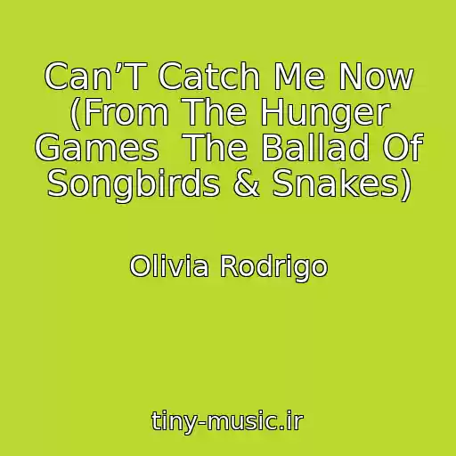 کاور آهنگ Can’T Catch Me Now (From The Hunger Games  The Ballad Of Songbirds & Snakes) از Olivia Rodrigo