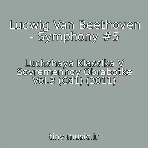 کاور آهنگ Ludwig Van Beethoven - Symphony #5 از Luchshaya Klassika V Sovremennoy Obrabotke Vol.3 (Cd1) (2011)