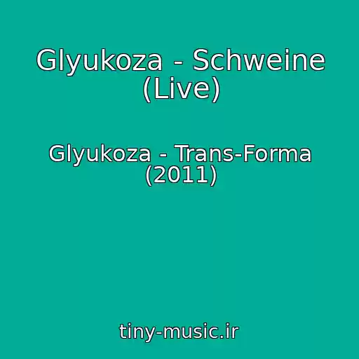 کاور آهنگ Glyukoza - Schweine (Live) از Glyukoza - Trans-Forma (2011)