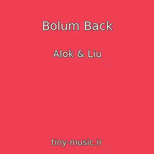 کاور آهنگ Bolum Back از Alok & Liu