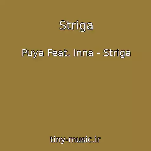 کاور آهنگ Striga از Puya Feat. Inna - Striga