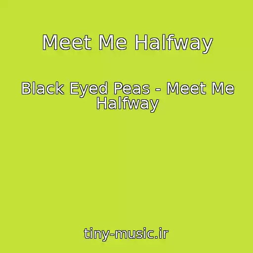 کاور آهنگ Meet Me Halfway از Black Eyed Peas - Meet Me Halfway