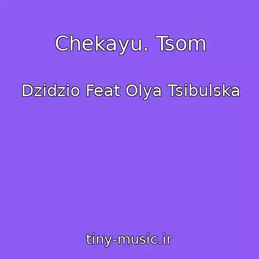 کاور آهنگ Chekayu. Tsom از Dzidzio Feat Olya Tsibulska