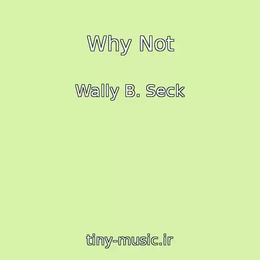 کاور آهنگ Why Not از Wally B. Seck
