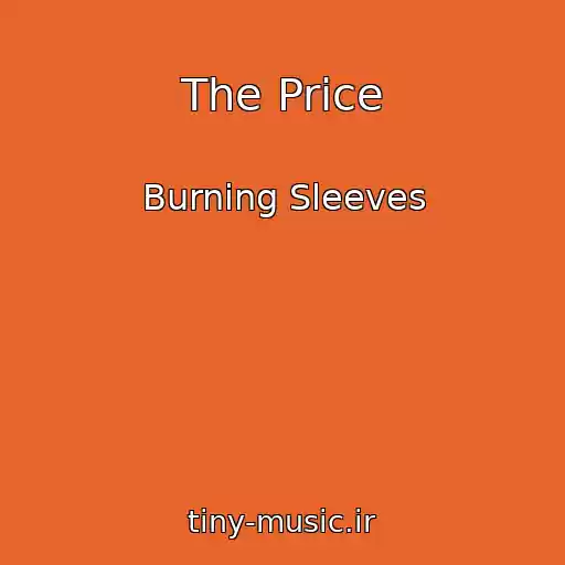 کاور آهنگ The Price از Burning Sleeves