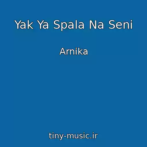 کاور آهنگ Yak Ya Spala Na Senі از Arnіka