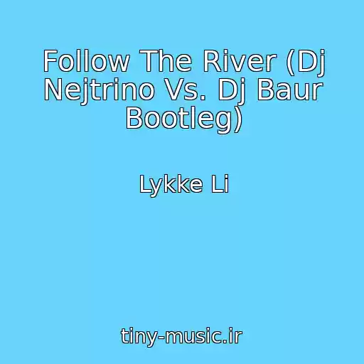 کاور آهنگ Follow The River (Dj Nejtrino Vs. Dj Baur Bootleg) از Lykke Li
