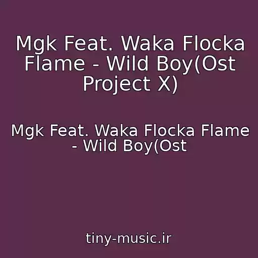 کاور آهنگ Mgk Feat. Waka Flocka Flame - Wild Boy(Ost Project X) از Mgk Feat. Waka Flocka Flame - Wild Boy(Ost