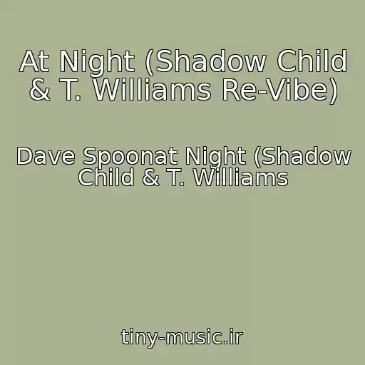 کاور آهنگ At Night (Shadow Child & T. Williams Re-Vibe) از Dave Spoonat Night (Shadow Child & T. Williams