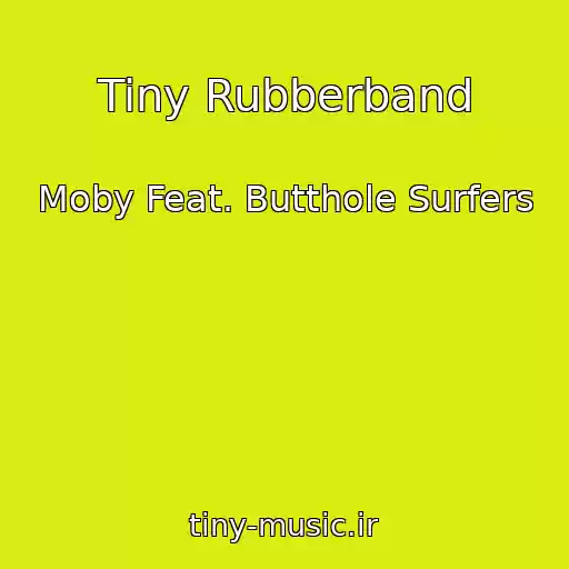 کاور آهنگ Tiny Rubberband از Moby Feat. Butthole Surfers