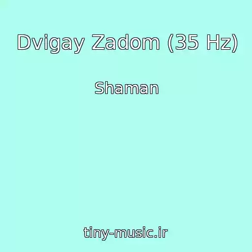 کاور آهنگ Dvigay Zadom (35 Hz) از Shaman
