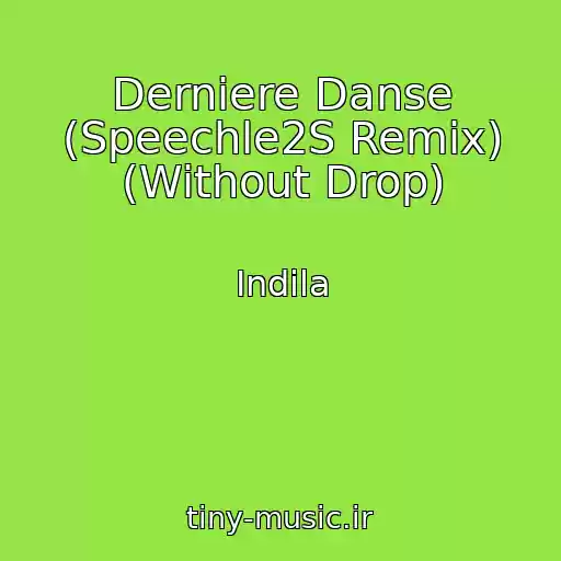 کاور آهنگ Derniere Danse (Speechle2S Remix) (Without Drop) از Indila