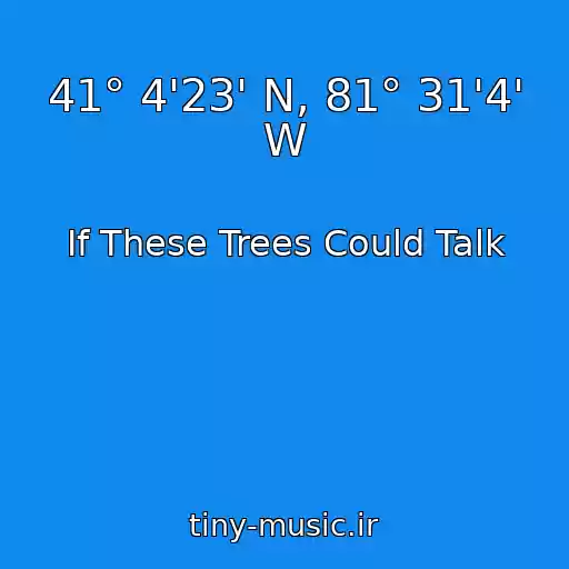 کاور آهنگ 41° 4'23' N, 81° 31'4' W از If These Trees Could Talk
