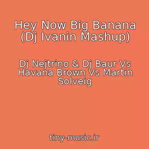 کاور آهنگ Hey Now Big Banana (Dj Ivanin Mashup) از Dj Nejtrino & Dj Baur Vs Havana Brown Vs Martin Solveig