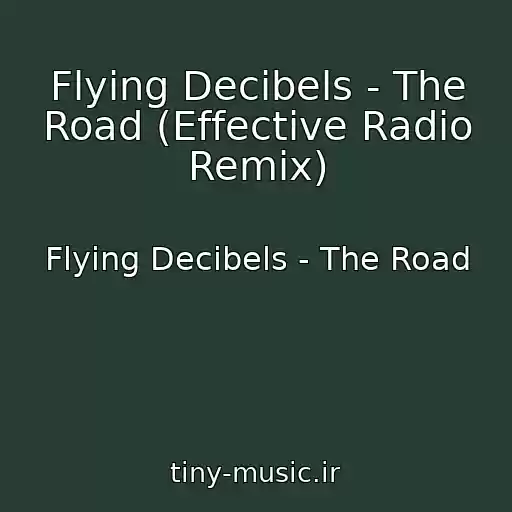 کاور آهنگ Flying Decibels - The Road (Effective Radio Remix) از Flying Decibels - The Road