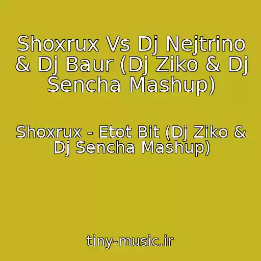 کاور آهنگ Shoxrux Vs Dj Nejtrino & Dj Baur (Dj Ziko & Dj Sencha Mashup) از Shoxrux - Etot Bit (Dj Ziko & Dj Sencha Mashup)