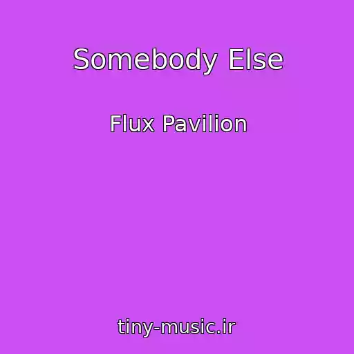 کاور آهنگ Somebody Else از Flux Pavilion