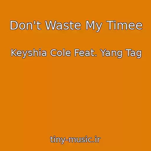 کاور آهنگ Don't Waste My Timee از Keyshia Cole Feat. Yang Tag
