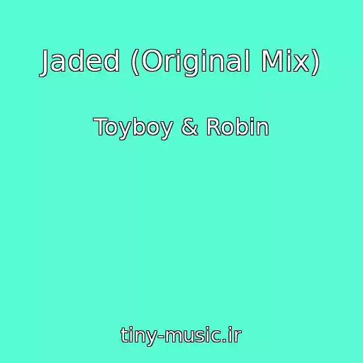 کاور آهنگ Jaded (Original Mix) از Toyboy & Robin