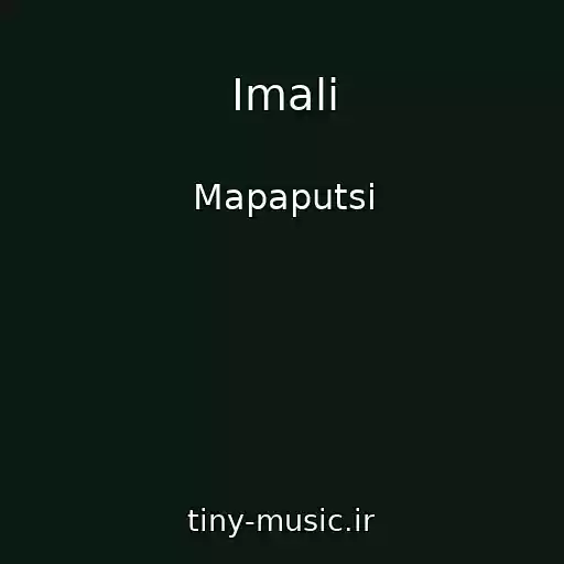 کاور آهنگ Imali از Mapaputsi