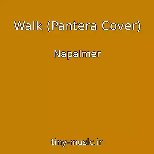 کاور آهنگ Walk (Pantera Cover) از Napalmer