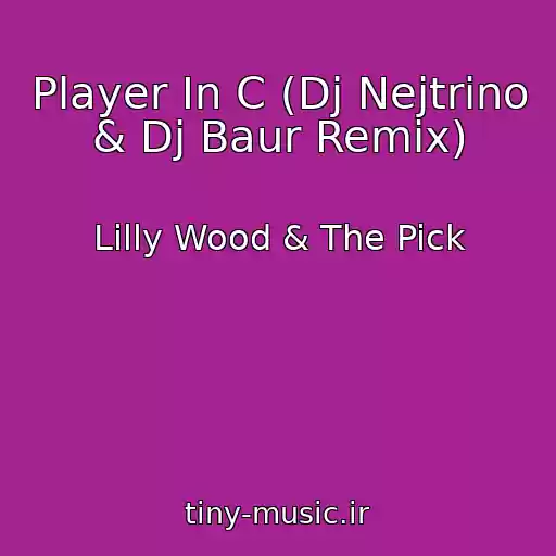 کاور آهنگ Player In C (Dj Nejtrino & Dj Baur Remix) از Lilly Wood & The Pick
