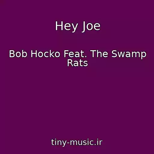 کاور آهنگ Hey Joe از Bob Hocko Feat. The Swamp Rats