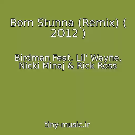کاور آهنگ Born Stunna (Remix) ( 2O12 ) از Birdman Feat. Lil' Wayne, Nicki Minaj & Rick Ross