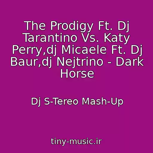 کاور آهنگ The Prodigy Ft. Dj Tarantino Vs. Katy Perry,dj Micaele Ft. Dj Baur,dj Nejtrino - Dark Horse از Dj S-Tereo Mash-Up