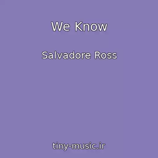 کاور آهنگ We Know از Salvadore Ross