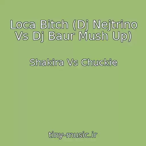 کاور آهنگ Loca Bitch (Dj Nejtrino Vs Dj Baur Mush Up) از Shakira Vs Chuckie