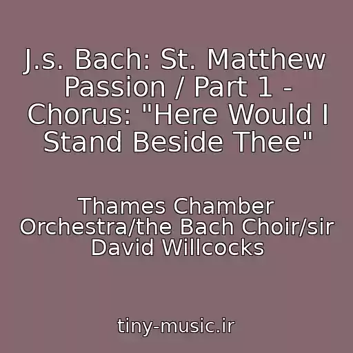 کاور آهنگ J.s. Bach: St. Matthew Passion / Part 1 - Chorus: "Here Would I Stand Beside Thee" از Thames Chamber Orchestra/the Bach Choir/sir David Willcocks