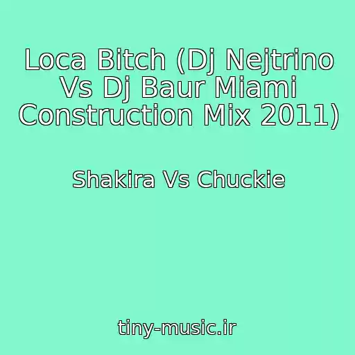 کاور آهنگ Loca Bitch (Dj Nejtrino Vs Dj Baur Miami Construction Mix 2011) از Shakira Vs Chuckie
