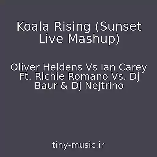 کاور آهنگ Koala Rising (Sunset Live Mashup) از Oliver Heldens Vs Ian Carey Ft. Richie Romano Vs. Dj Baur & Dj Nejtrino