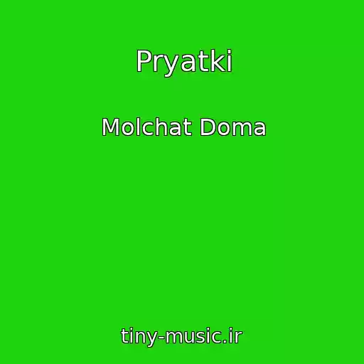 کاور آهنگ Pryatki از Molchat Doma