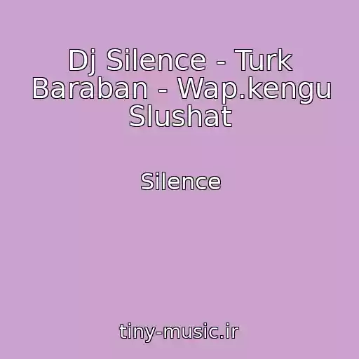 کاور آهنگ Dj Silence - Turk Baraban - Wap.kengu Slushat از Silence