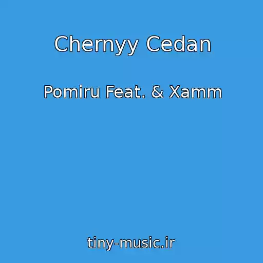 کاور آهنگ Chernyy Cedan از Pomiru Feat. & Xamm