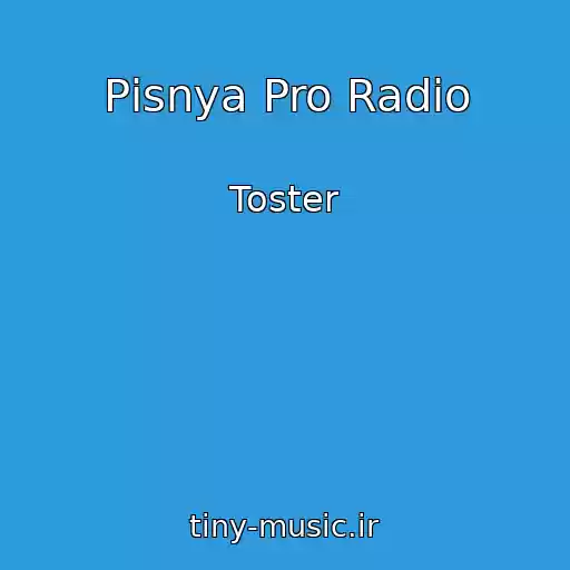 کاور آهنگ Pіsnya Pro Radіo از Toster