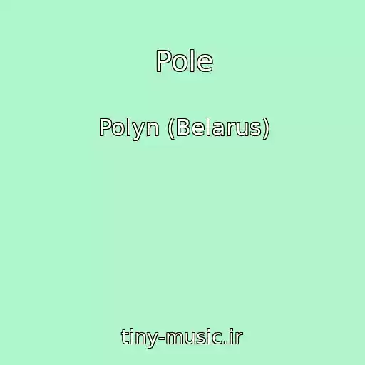 کاور آهنگ Pole از Polyn (Belarus)