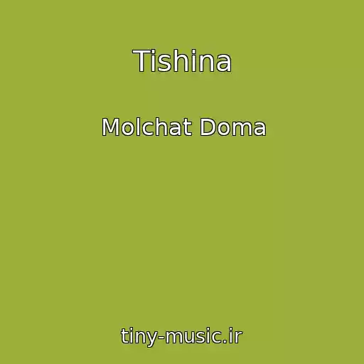 کاور آهنگ Tishina از Molchat Doma